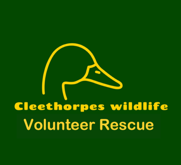 Guilt-Free Shopping: Every Sale Item Supports Cleethorpes Wildlife Rescue